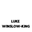 Luke Winslow-King logo
